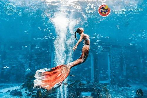 美人鱼国产最新视频大全,梦幻海洋奇遇记，精彩瞬间大盘点