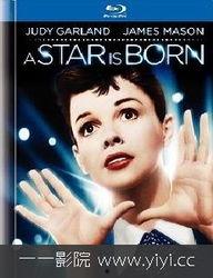 在线视频明星合成国产