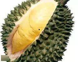 国产榴莲加工过程视频,从果肉到美味佳肴的蜕变之旅